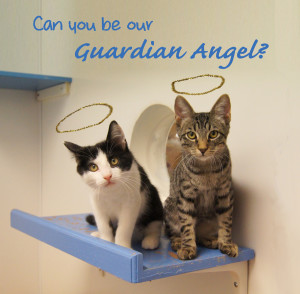 Cat Guardian Angels